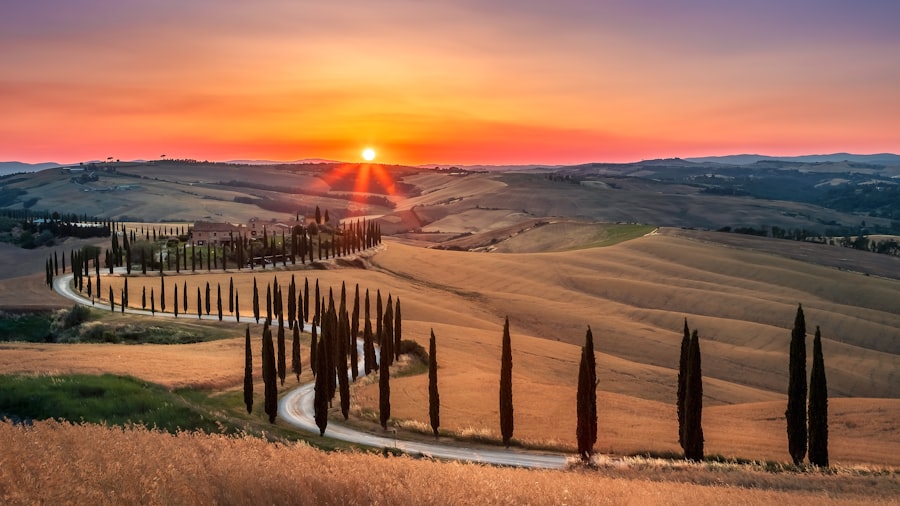 7-Day Tuscany Road Trip: Hills, Wine & Art
