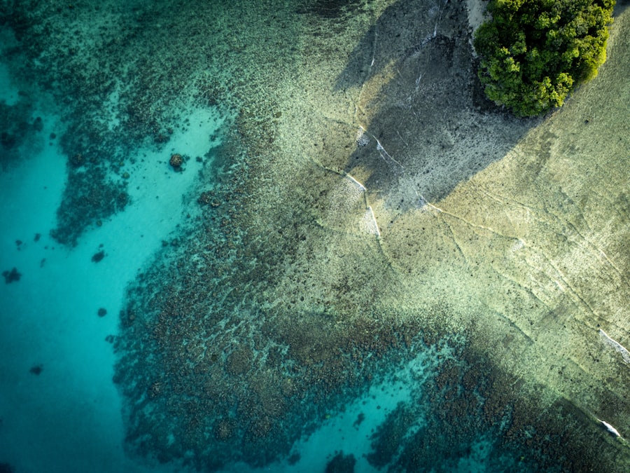 Great Barrier Reef aerial photography 2026 Guide