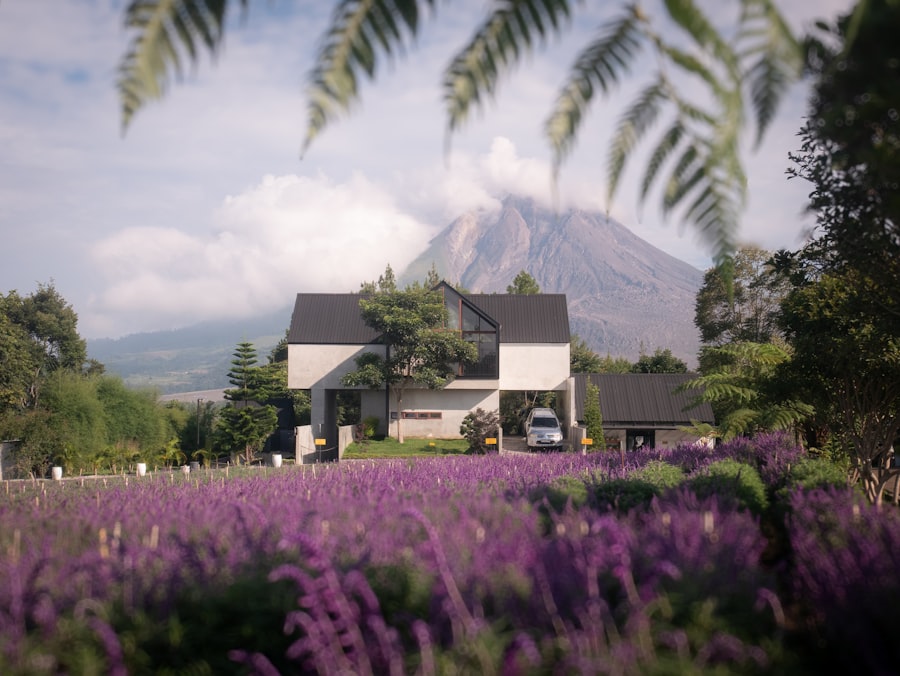 Modern house with lavender field and volcano background