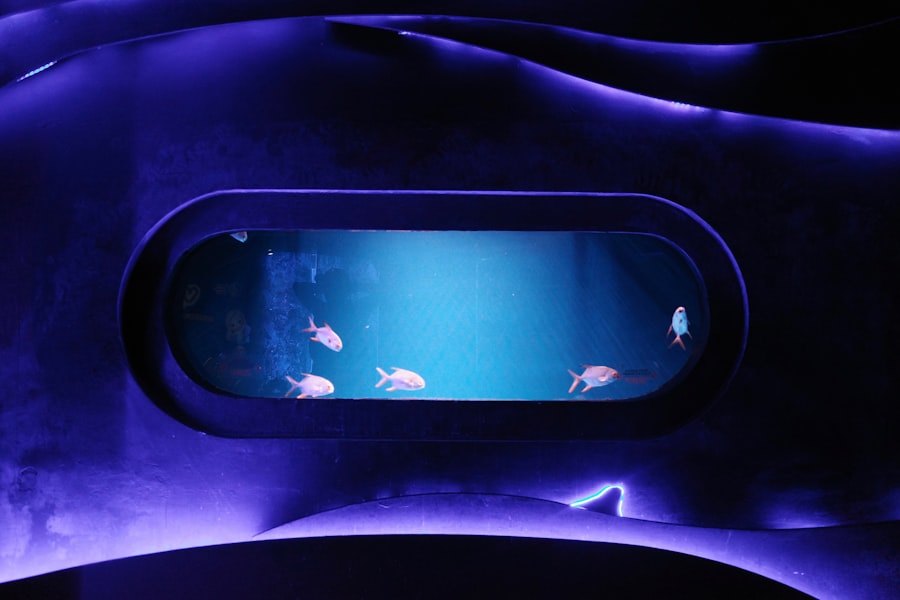 A television screen with fish swimming in the water