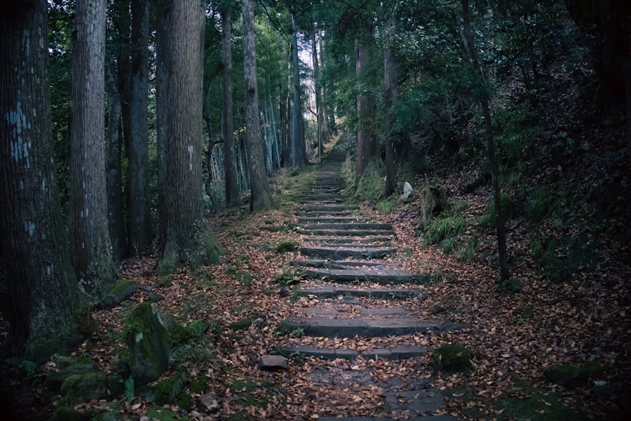 Secret Abandoned Onsen in Kyoto