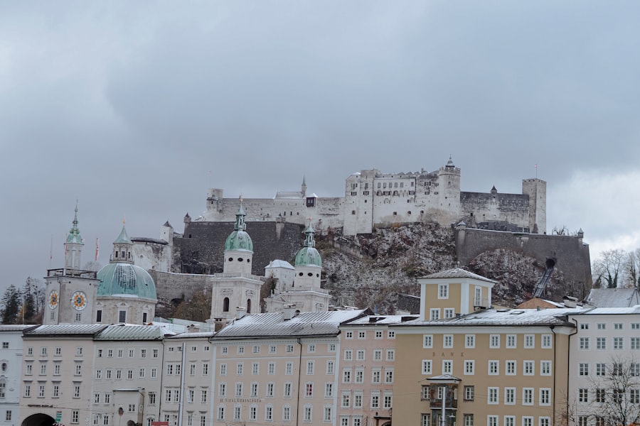 a group of buildings with a castle in the background