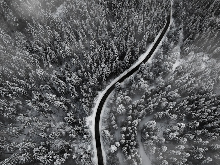 Winding road through a snow-covered forest